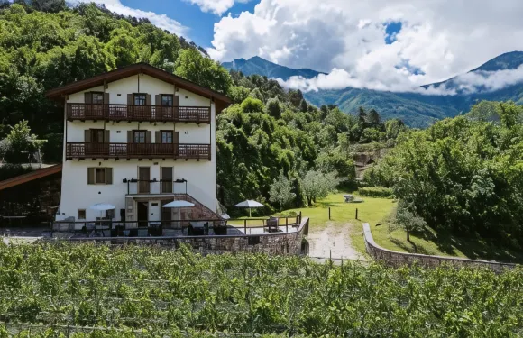 馬索薩利姆酒店