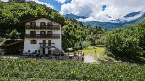 Maso Salim Relax Apartments Hotels in Pietramurata