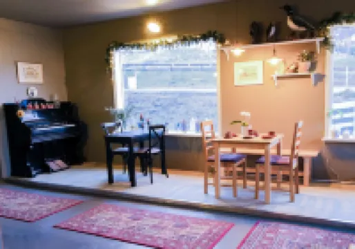 Harbour Inn - Guesthouse - Homestays