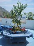 Hotel Holiday