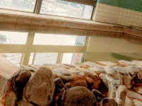 Ichifukuso - Hot Springs