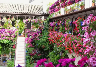 New* Near to the Mosque and Historic Center Hotels in South Poniente