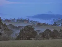 Myst Resort Hotels in Sakleshpur