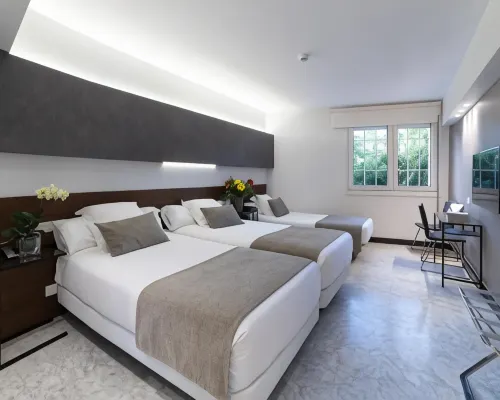Hotel Avenida โรงแรมใกล้หาด Ondarreta Beach