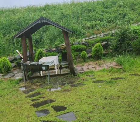 Buyeo Eoksae Jeongwon Pension فنادق في بويو-غون