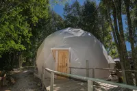 Cabañas Ensenada Bosque Nativo - Хоумстей
