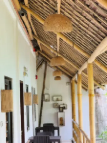 레이지 도그 베드 & 브렉퍼스트