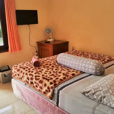 Wisma HS Hotels near Mount Merapi Museum