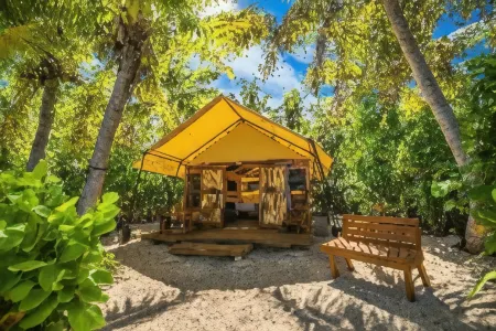 Barefoot Manta Island Resort Отели в г. Остров Дравака