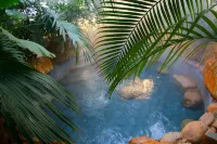 Aohua International Hot Spring Hotel - Hot Springs