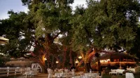 Hilton Garden Inn Irvine East/Lake Forest - Aamiainen