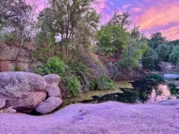 Over 100 acre longhorn ranch to enjoy hiking, star gazing, and wildlife viewing.