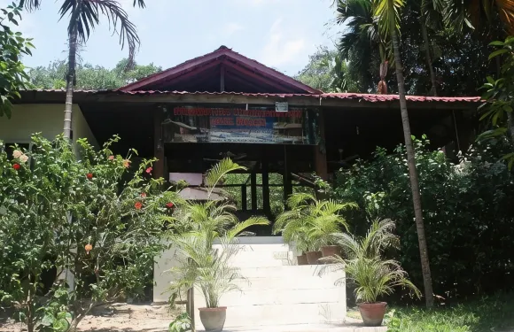 坡橫天康納酒店