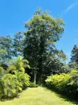 Villa Tres Lunas-Private Jungle Retreat with Pool Hotels in 
