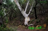 Spacious comfy house in the heart of Katoomba - enhanced cleaning & disinfection - 3-Star