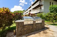 Remodeled Condo with / AC. Short Walk to Beach, Starbucks, and Shops.