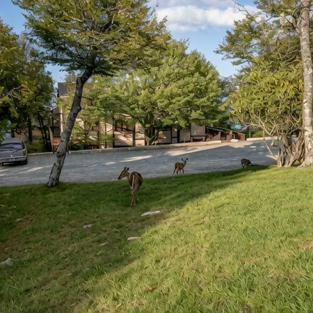 Cozy Beech Mountain getaway for the whole family