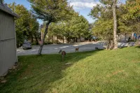 Cozy Beech Mountain getaway for the whole family