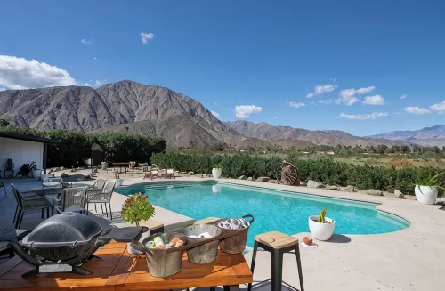 Designer Oasis Desert Paradise