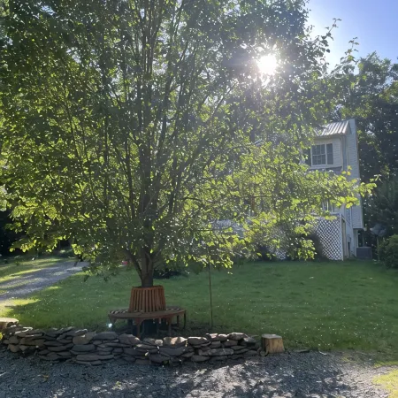 Moonfire Farm Shenandoah region cozy getaway