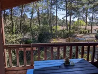 Appartement Familial Dans Villa à la Plage - Wifi