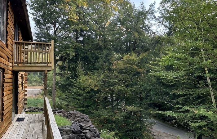 Fox Ridge - White Mtn. Elegance - EV charging on site - Waterville Valley Ski