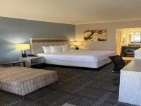 شور ستاي إنسويتس فينيكس هوتل آند سويتس باي بست ويسترن Hotels near الجبل الشمالي