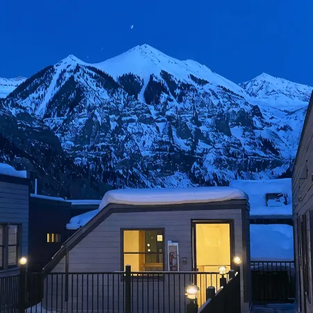 Designer Unit -Town of Telluride, steps to Gondola
