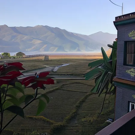 Bishnu Homestay