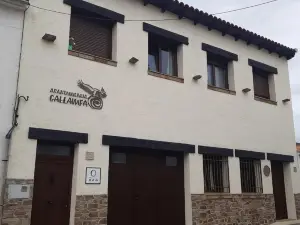 Apartamentos Callampa