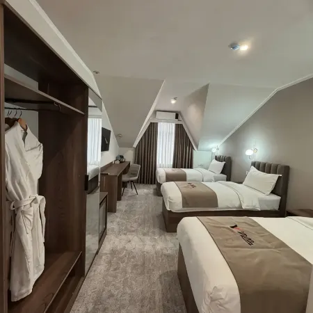 Villa Osh Hotel Hotels in Osh