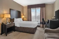 Comfort Inn & Suites Vernal - National Monument Area - Parkering