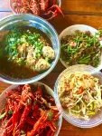Sailimu Lake Yingkesong Hotel - Homestays
