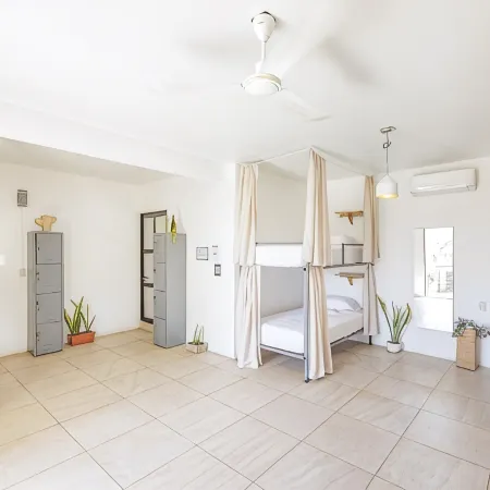 SurfNest Hostel
