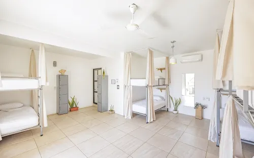 SurfNest Hostel