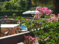 Hotel Casa Serena - Mountain view