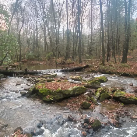 New cabin 1 mile from Blue Ridge Parkway. Minutes from Appalachian Trail