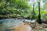 Forest Garden Batulayang - Campgrounds