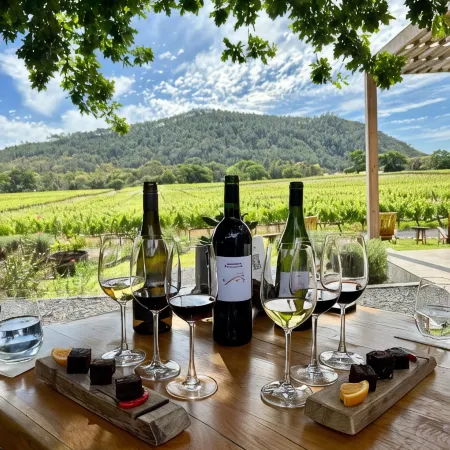 Lynx Wine Estate