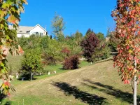 Redwood Lodge rural retreat with superb views Hotels in 