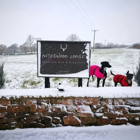 Hayeswood Lodge Luxury Accommodation