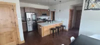 Home in Railyard Leadville- built 2021 - WiFi