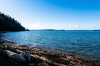 West Seattle Driftwood Cottage - Firepit + Walk to Coffee & Restaurants - Tiny houses