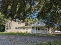 Big Mama's Lakeside Cottage Lake Marion - Homestays