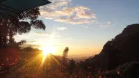 Blue Ribbon Homestay - B&B