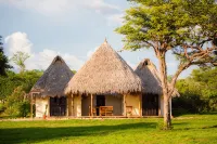 Hotel Punta Teonoste - Pet friendly