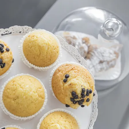 Xenia Guest House