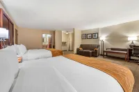 Comfort Suites South - spa