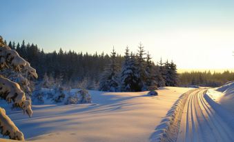 Landgasthof Am Sonnenhang