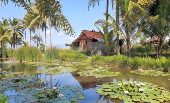 a tropical scene with a small house surrounded by lush greenery , including palm trees and water lilies at Borobudur Bed & Breakfast